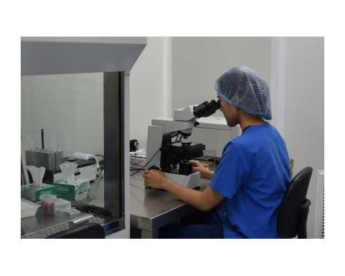 安徽供卵中心找哪个医生,2026安徽省立做试管供卵生男孩费用全新解读分享