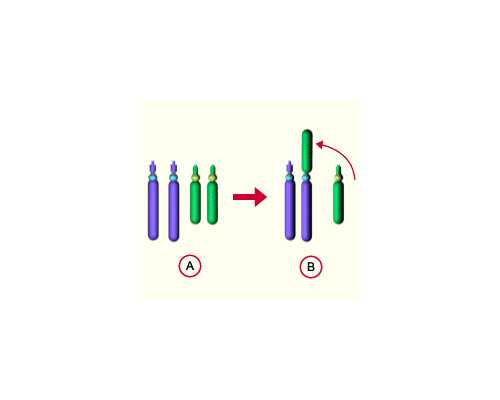 三代试管疼不疼_三代试管条件_南京靠谱的私立供卵试管医院 南京鼓楼医院生殖