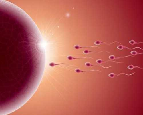 安徽供卵微信,想去安徽省立医院做试管应该挂哪个科室？